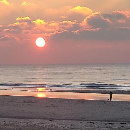 Pension Canberra Bergen aan Zee Eksteriør bilde